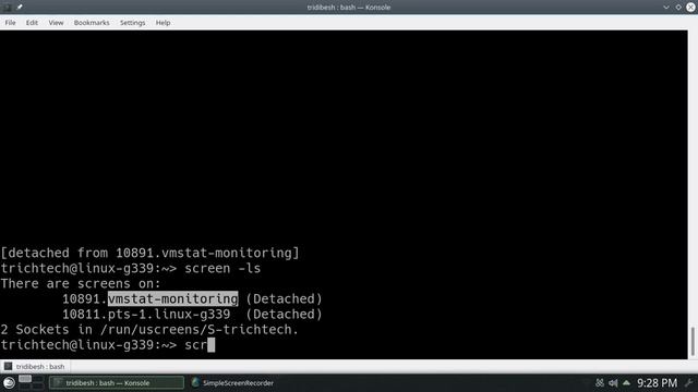 Pseudo terminal (tty) via Screen command - Linux Fundamentals - Episode 10 смотреть онлайн