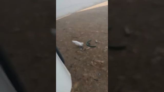 Рвд штуцара (штуцер) для ХОВО HOWO шланг высокого давления смотреть онлайн