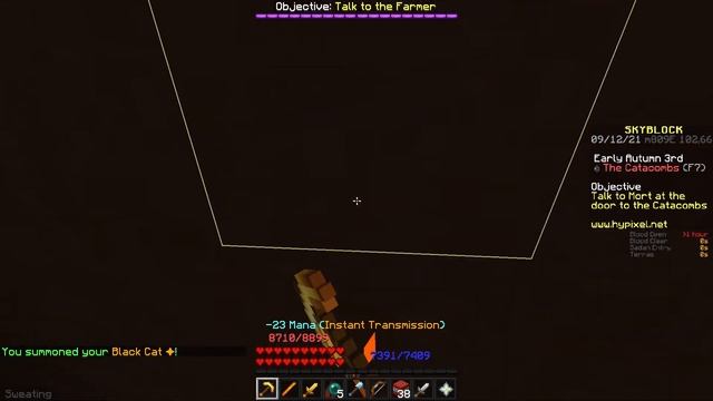Maxor Is the best Right Click Mage Set... (+ sub 4 run with it) смотреть онлайн