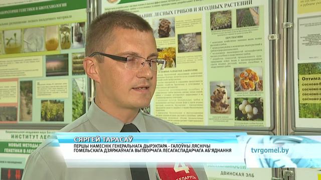 Семинар Всемирного банка смотреть онлайн