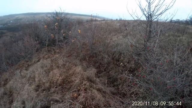 8 ноября 2020 г. смотреть онлайн