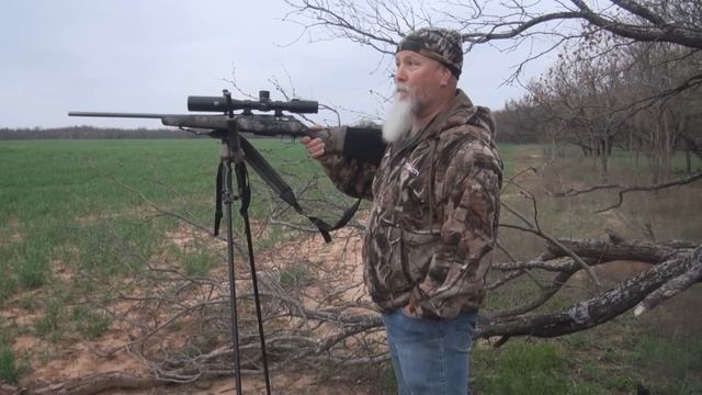 Glenn Guess Calls a Huge Boar "Boar Specific" Sounds смотреть онлайн