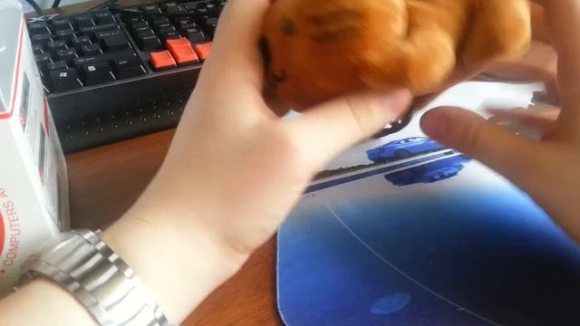 Видеообзор Web-камеры Usb Toy Webcam от фирмы Gembird