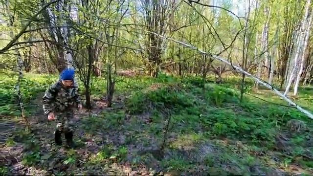 Грибы! Как Собирать и Где Искать Сморчки и Строчки в Лесу! смотреть онлайн