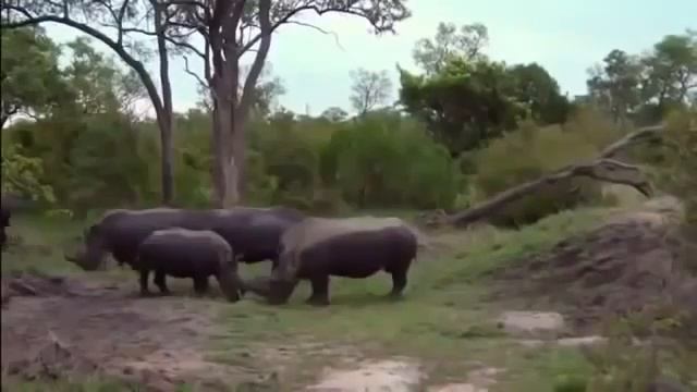 ДИКИЕ ПЛЕМЕНА АФРИКИ И КАННИБАЛЫ! ДОКУМЕНТАЛЬНЫЙ смотреть онлайн