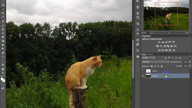 уменьшение объекта фотошоп cs6 смотреть онлайн