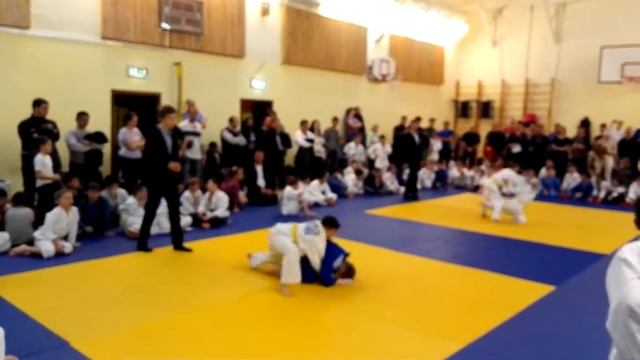 Соревнования по дзюдо в городе Балашиха 31.10.2015 смотреть онлайн