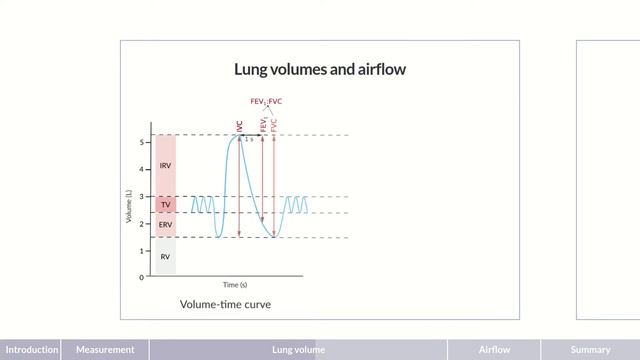 Spirometry: Procedure and Results смотреть онлайн