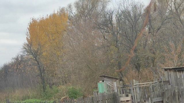 У нас именины. смотреть онлайн