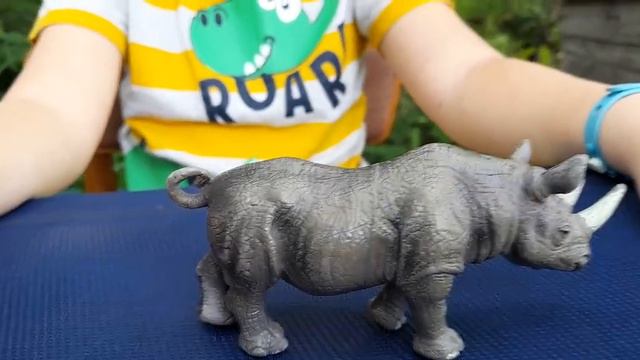 🦏НОСОРОГ! Коллекция"Дикие животные! смотреть онлайн
