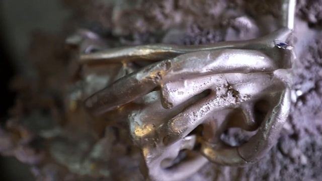 Серия экспериментов Влада Кулькова «Трансгенез» / Transgenesis, a series of experiments смотреть онлайн