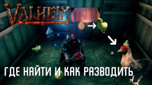 Valheim - Где найти и как разводить курицу [Гайд]