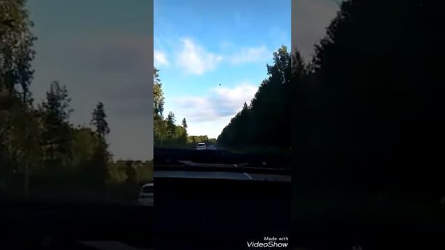 Это было прошлым летом... смотреть онлайн