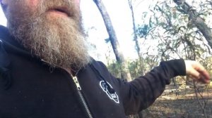 Поиск золота в Австралии, местечко Ванденберн