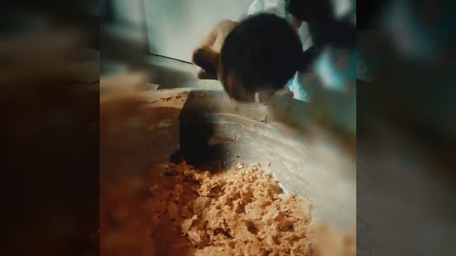 Производство кокосового сахара смотреть онлайн