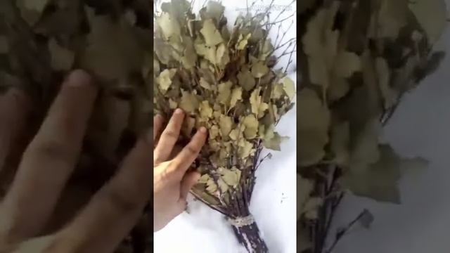 БАННЫЕ ВЕНИКИ! смотреть онлайн