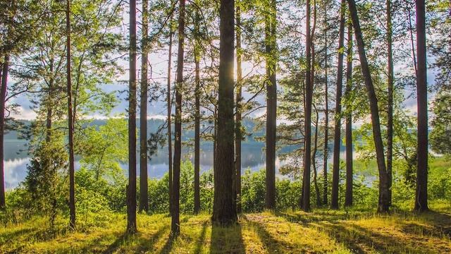 Светлая седмица – сплошная. Суббота Светлой седмицы. (08.05.2021) смотреть онлайн