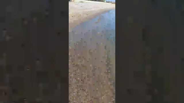 УРЗУФ 4.05.2022 смотреть онлайн