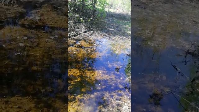 Самарская лука. Поездка в Шелехметь смотреть онлайн