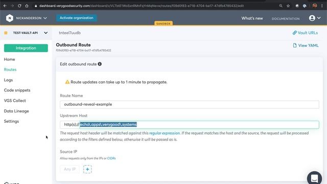 VGS HTTP Proxy (a quick walk through) смотреть онлайн