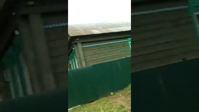 Стоит ли брать Skoda Felicia? Alex Frolov смотреть онлайн