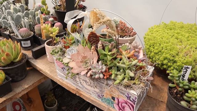 TOUR POR EL JARDÍN DE VERANIA TORRES │Candy Bu смотреть онлайн