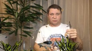 Как правильно выставить стопор на снасти "Балда" и увеличить число поклевки на "Тирольскую палочку"