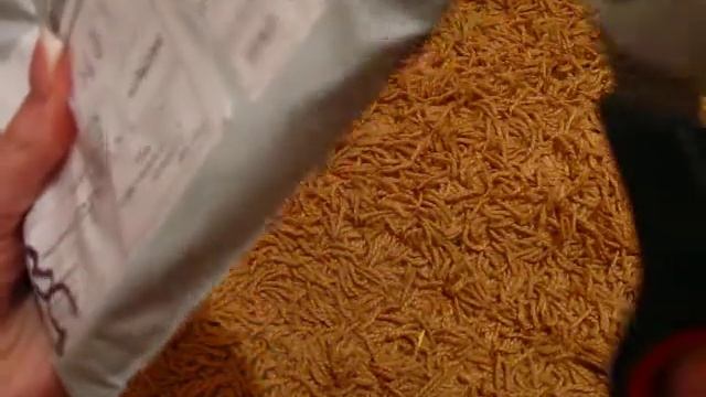 Щеточка для жалюзи из китая смотреть онлайн