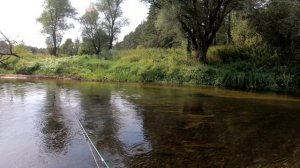 Ловля голавля на р. Угра