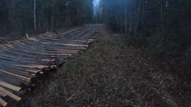 Охота на медведя с лайкой смотреть онлайн