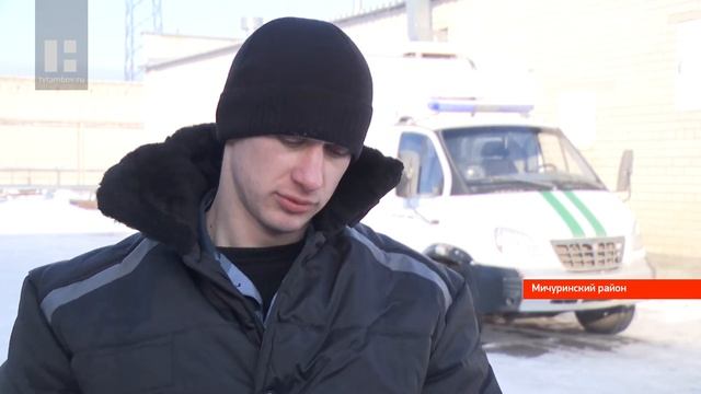 Кинологическую службу в Мичуринске пополнил щенок немецкой овчарки смотреть онлайн