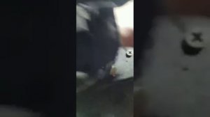 Тойота ленд крузер 100 | Toyota land Cruiser 100,пропали тормоза | АБС | ремонт тормозов |гидроблок