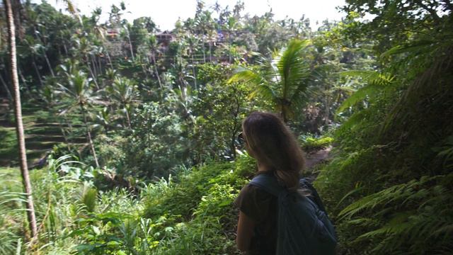 Tegallalang Rice Terrace BALI full tour: how to not get scammed! смотреть онлайн