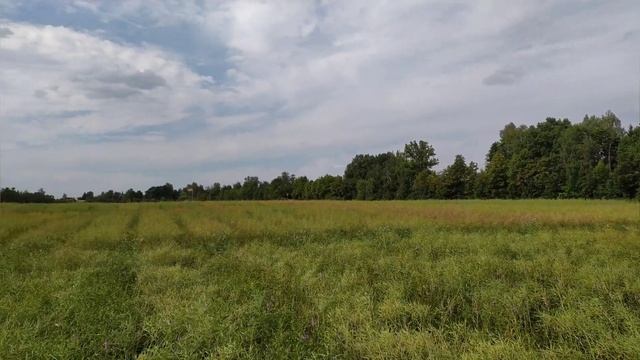 Покатушки по Лобне. Луговая смотреть онлайн