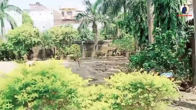 shahabuddin saheb house siwan full view@farmanking.. смотреть онлайн