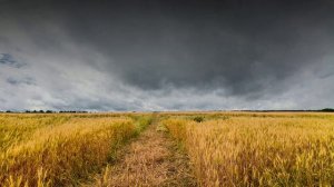 Футаж. Летний пейзаж 25