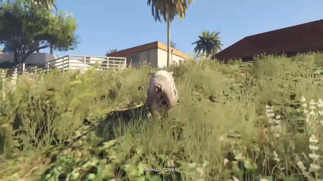 Gta5 кактус холмы смотреть онлайн
