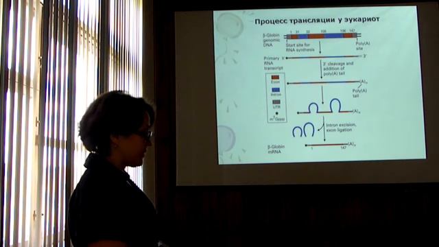 11 - Назипова Нафиса Наиловна: Структурно-функциональная организация генома смотреть онлайн