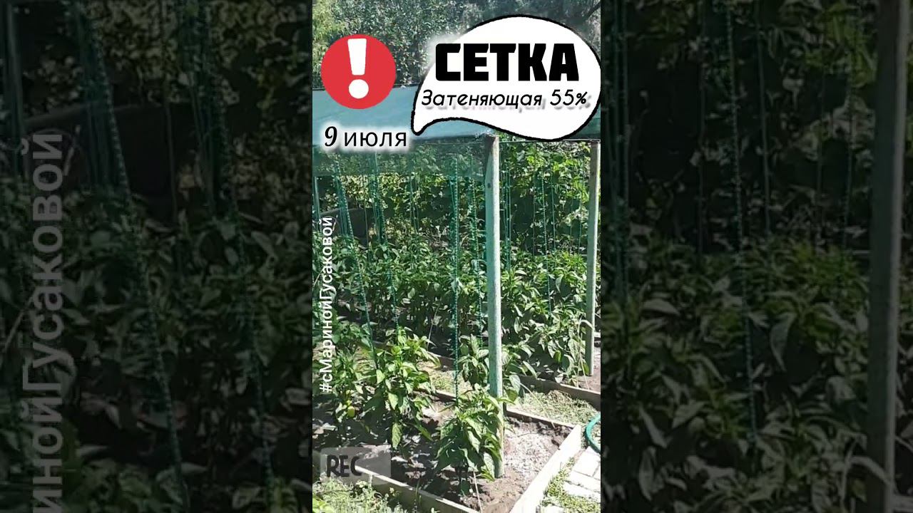 И почему мы раньше не сделали это Затеняющая сетка от сильного солнца | с Мариной Гусаковой смотреть онлайн