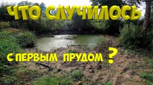 Что случилось с первым прудом?  Выкосил поле. [Жизнь в деревне]