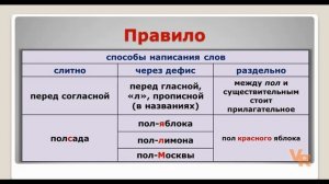 Сложные слова с пол-, полу-. Слитно, раздельно, через дефис? Занятие 21 (К заданию 14 ЕГЭ)