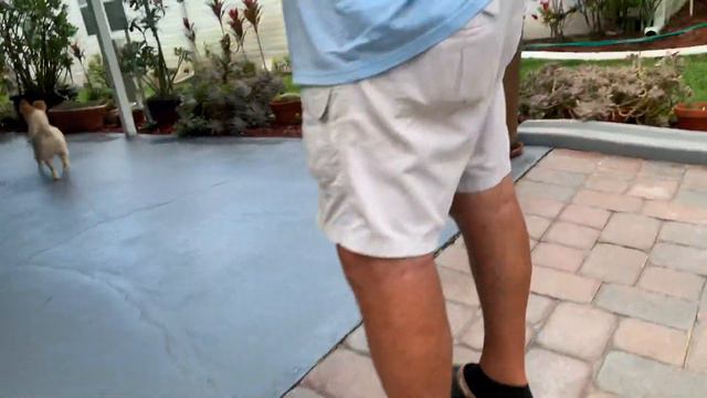 🔴 СОСЕДИ АМЕРИКАНЦЫ ОБЩЕНИЕ 🔴 жизнь простых ПЕНСИОНЕРОВ в США  14.08.2019