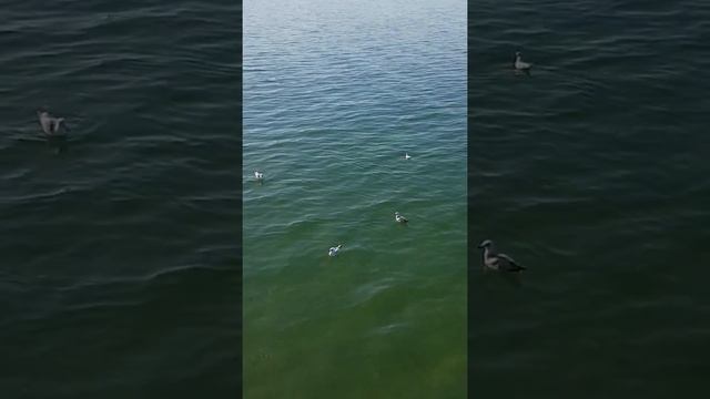 Seebad binz Germany смотреть онлайн