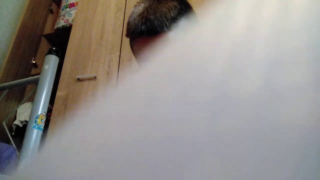 sandboxie το PlayStation 5 смотреть онлайн