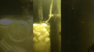 Аэрлифтный фильтр своими руками за пять минут из подручных материалов