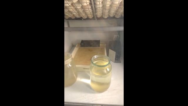 Інкубаторна кімната смотреть онлайн