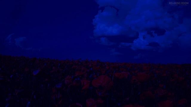 Fall Asleep At Night In The Field Of Poppies And Crickets, Sound Healthy Sleep, Sounds Of Nature