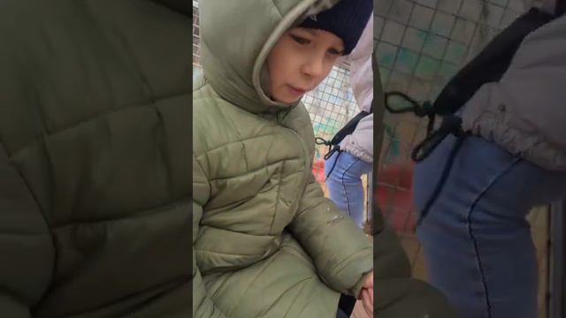 Хоккейная семья ВекторСириус #hockeylife #icehockeyfamily #icehockeymafia #hockeymom #хоккеисты смотреть онлайн