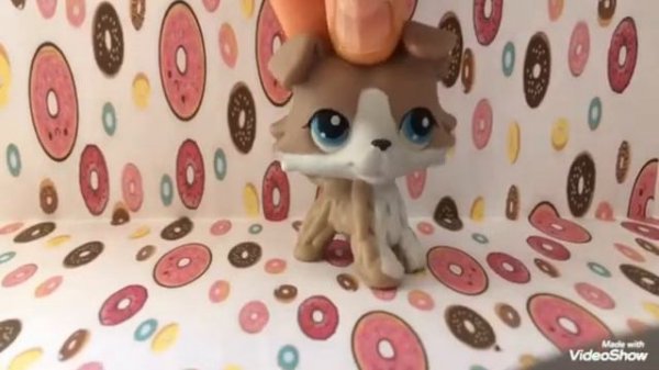 LPS: видео Сообщение Kate cat Lps starS, LPS milli !!!