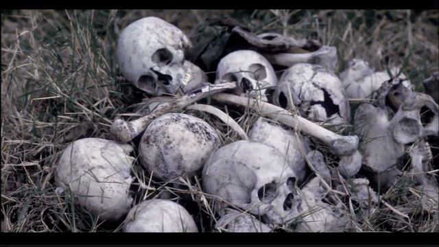 Museveni has murdered more people than Idi Amini смотреть онлайн